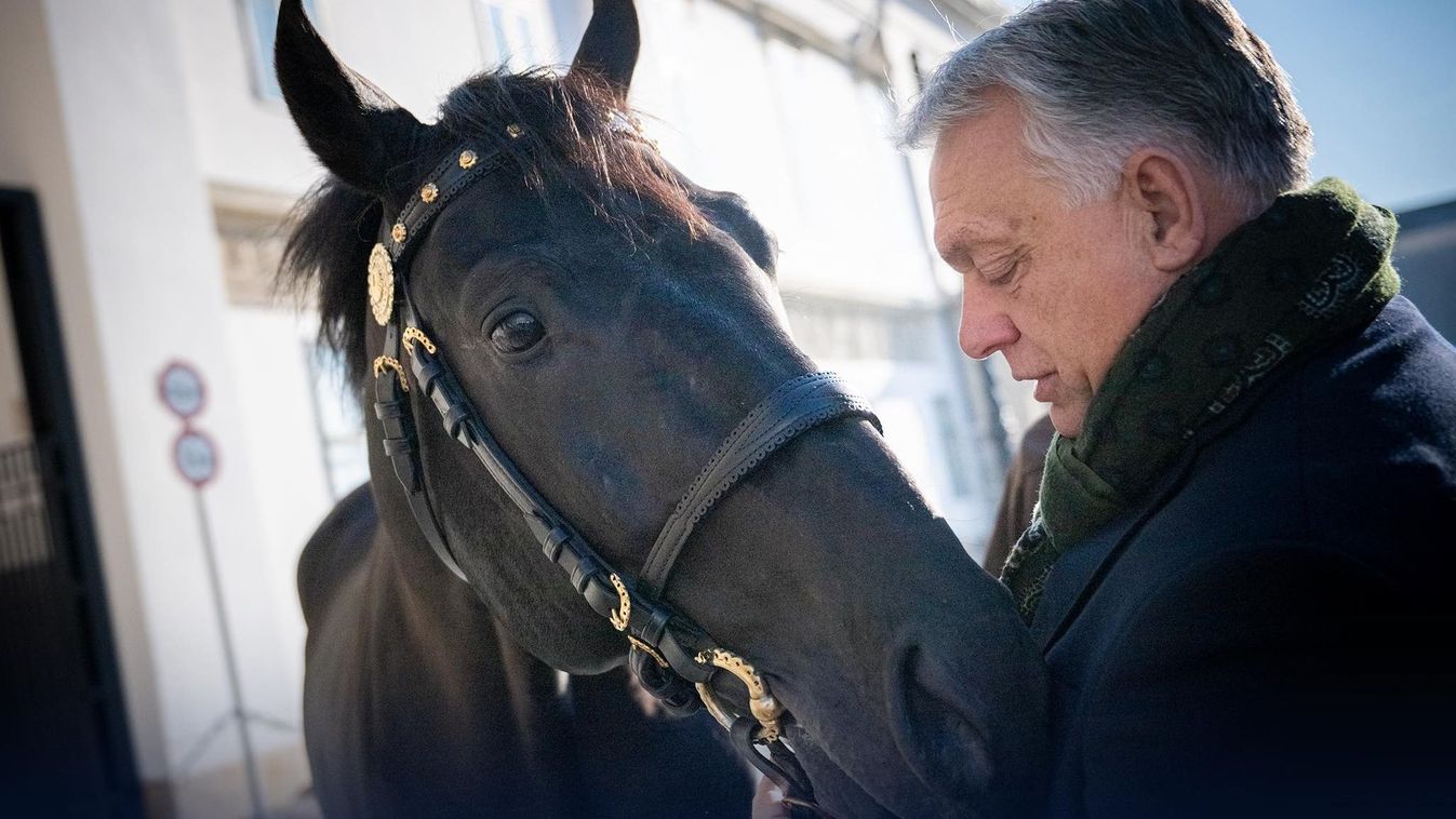 Orbán Viktor: a legfontosabb, hogy gondoskodjunk róluk