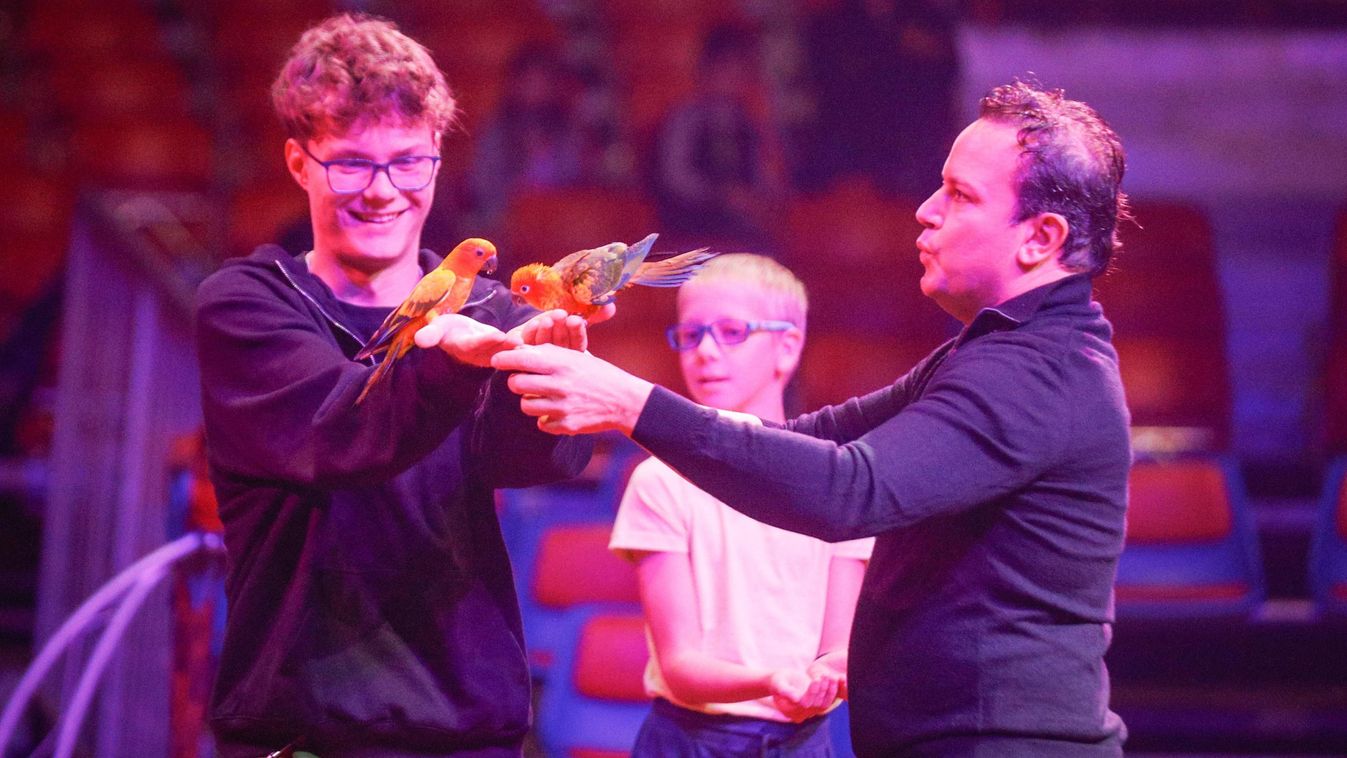 Kubai artisták orosz rúddal és papagájrevü: újra Tudomány a porondon a Magyar Nemzeti Cirkusszal
