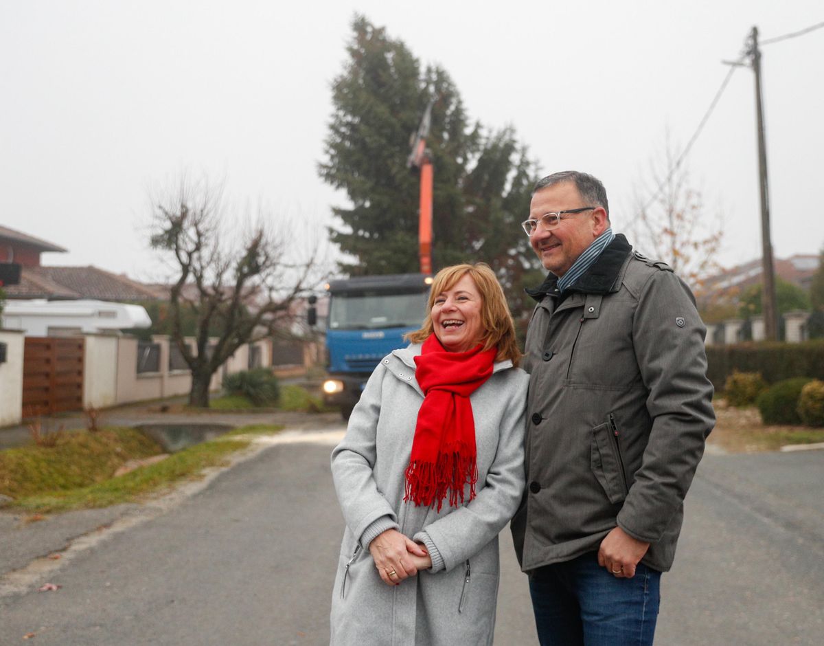 Idén a Sipos családnak köszönhető Szombathely karácsonyfája