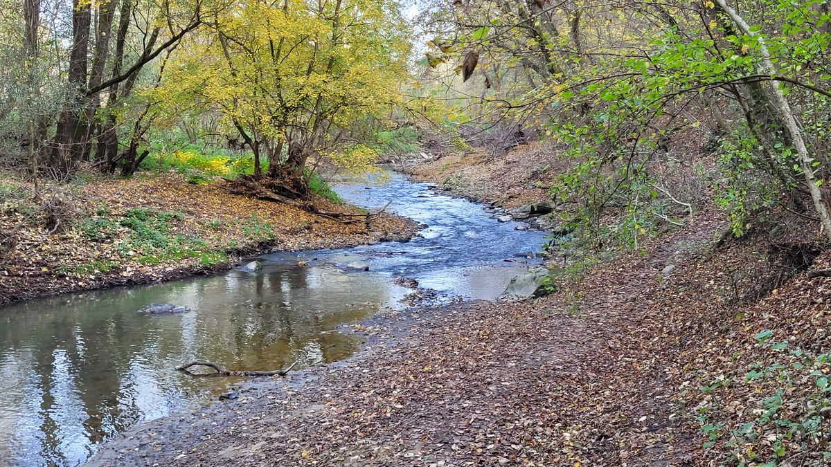 Gyönyörű most a Pinka-szurdok és a Vas-hegy