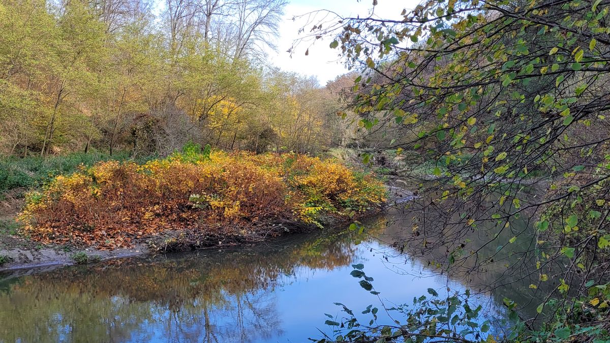 Gyönyörű most a Pinka-szurdok és a Vas-hegy