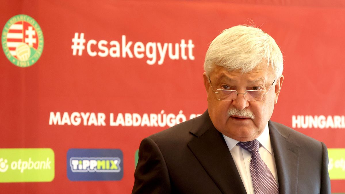 Csányi Sándor