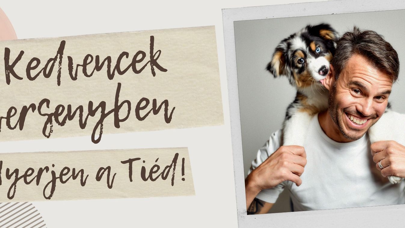 Újra indul a Kedvencverseny!