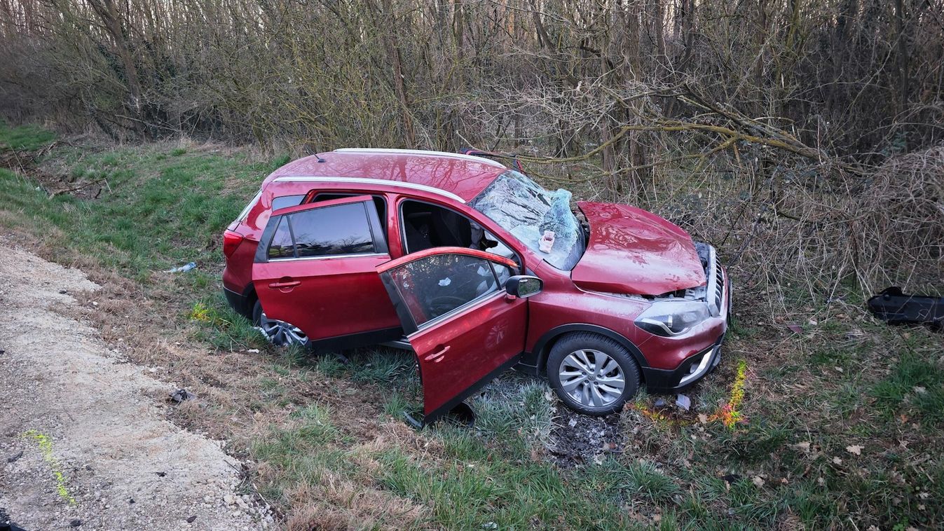 Autó ütötte el Mojo-t, a tegnapi halálos baleset helyszínéről elfutott kutyát