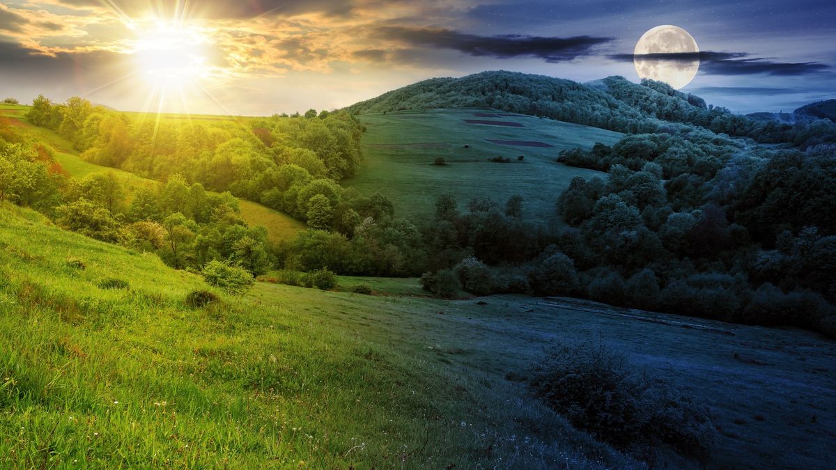 Nap-éj egyenlőség napja