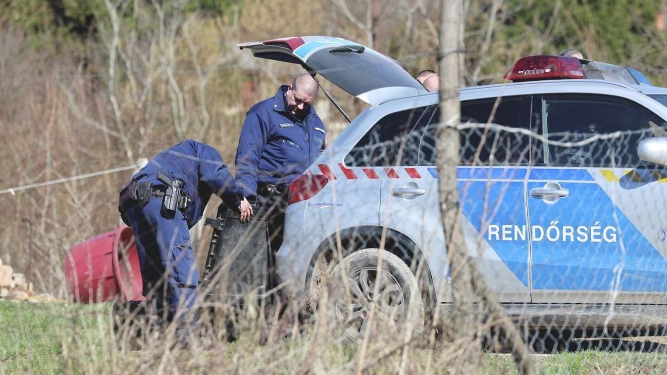 Újabb részletek derültek ki az emberi csontokról, amiket a kutya talált
