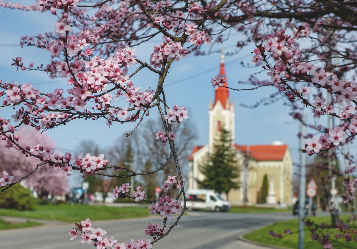 Időjárás Még két nap tavasz, aztán hózáporokkal és viharos széllel tör ránk a hideg