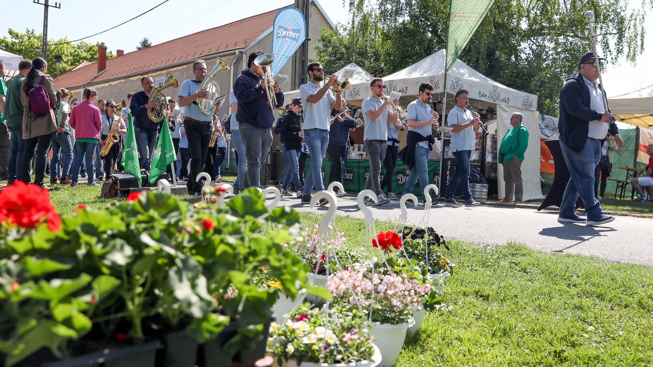 Színek, illatok, dallamok - A Herényi Virágútról jelentjük - képekkel
