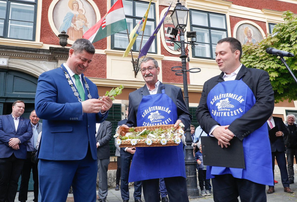 Szőlő Jövésnek Könyve