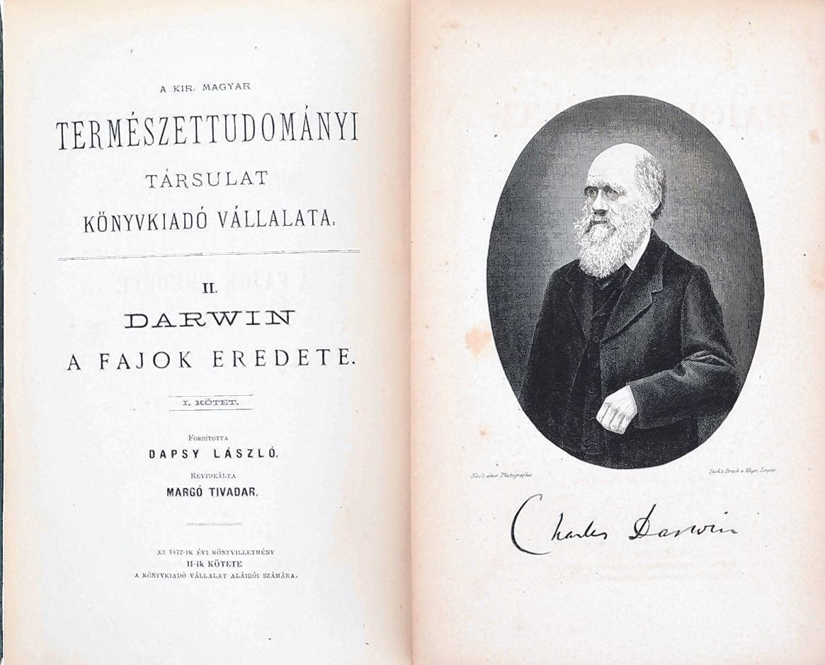 Darwin
