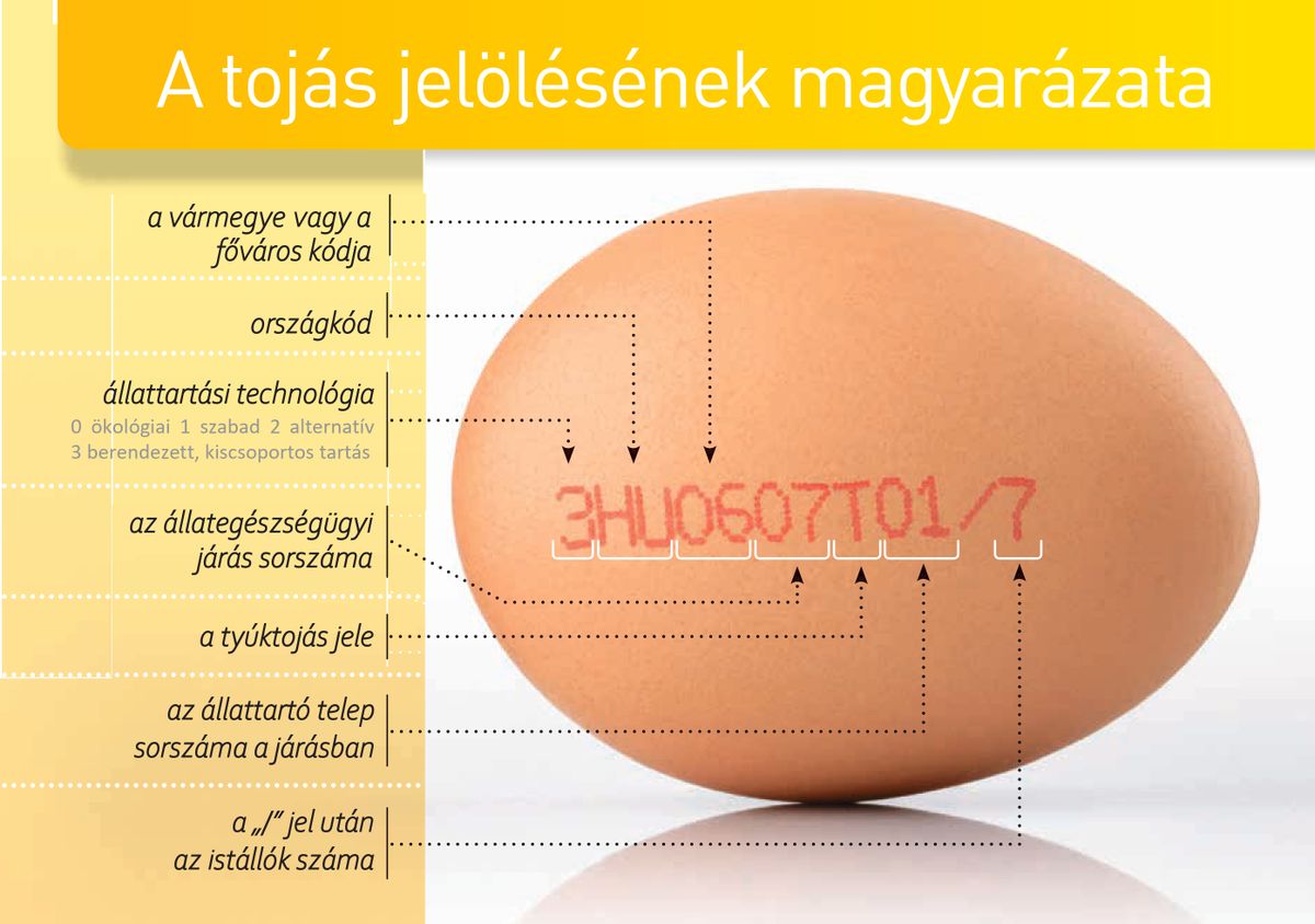 Rengeteg minden megtudhatunk a tojás számozásából