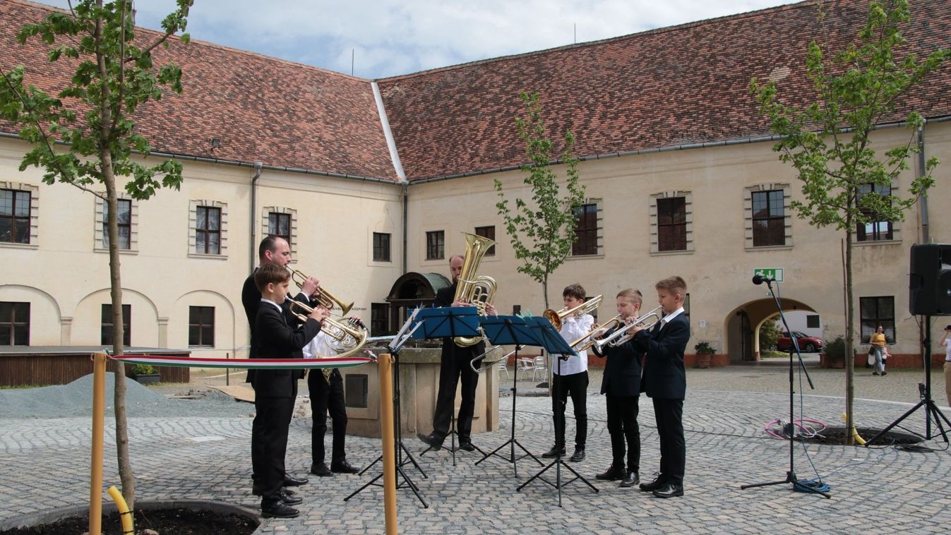 Négy új juharfa a sárvári Nádasdy-vár udvarán