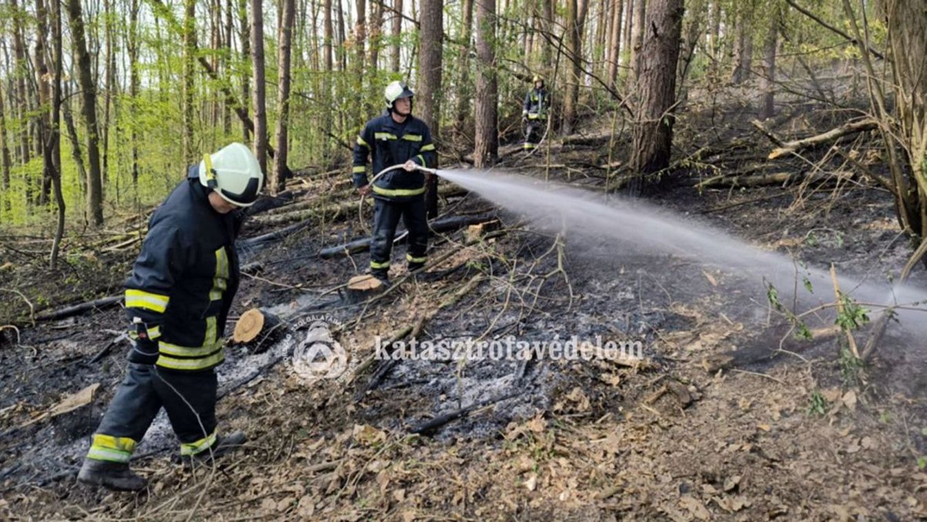 Öt raj küzdött a pusztító erdőtűzzel a szomszédos vármegyében
