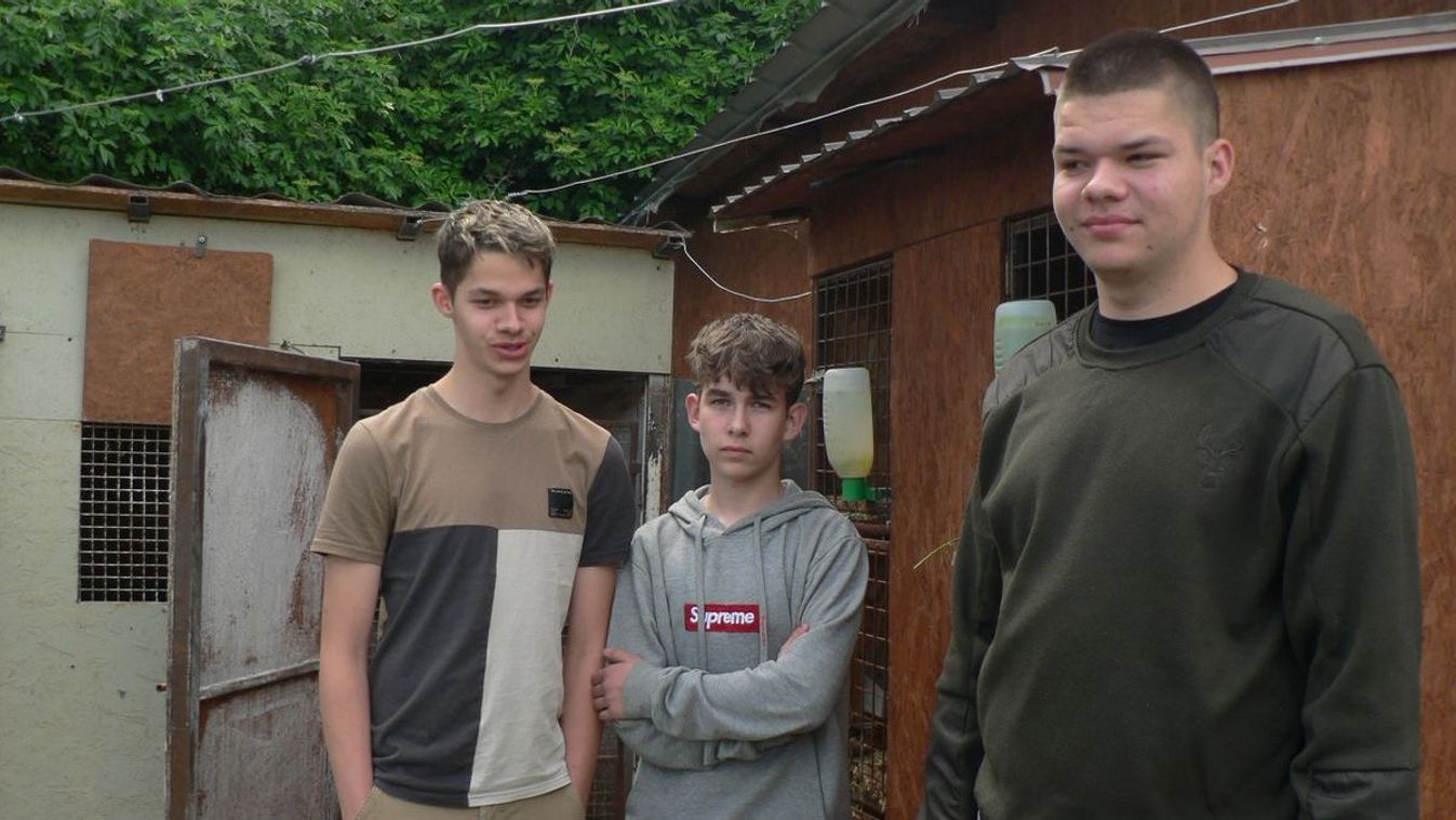 Sínek közé ugrottak az ájult férfiért: videón Bence, Hunor és Gergő, az életmentő kamaszok