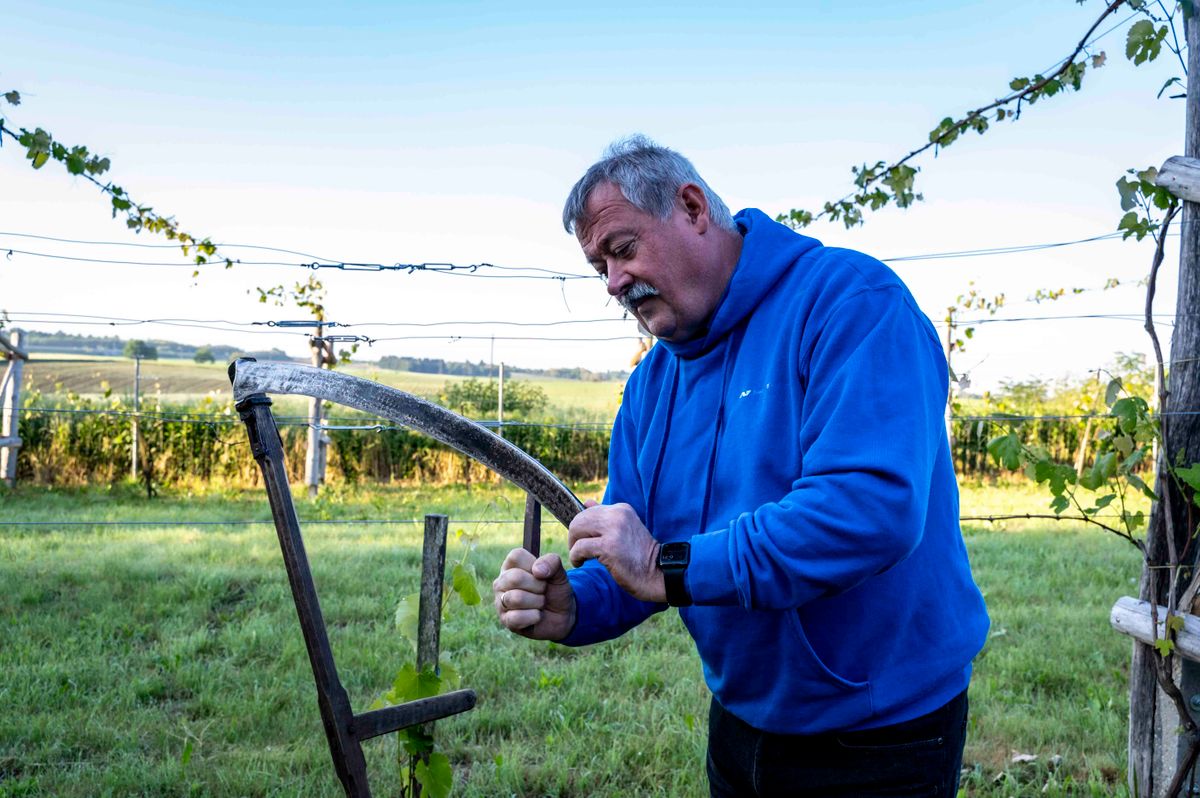 V. Németh Zsolt is tudja, hogy a kaszálás, a fenéssel kezdődik
