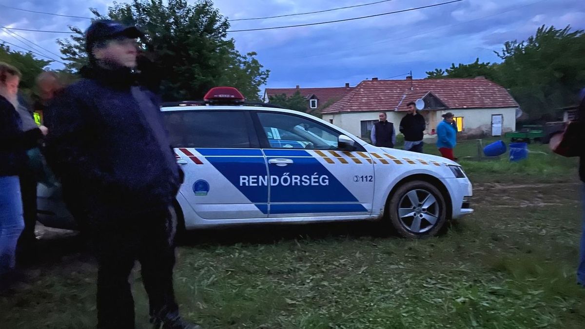 berkesdi kisfiú