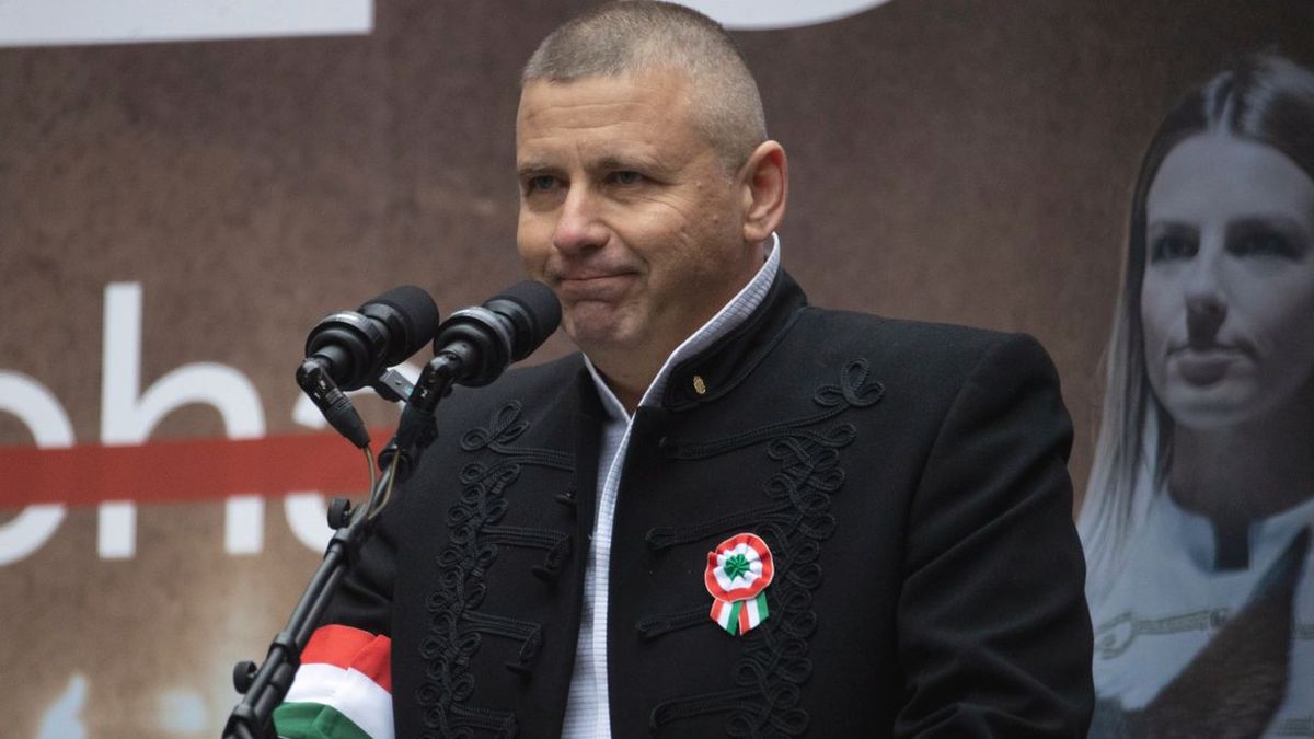Ruszin-Szendi Romulusz viselkedése felér egy beismeréssel