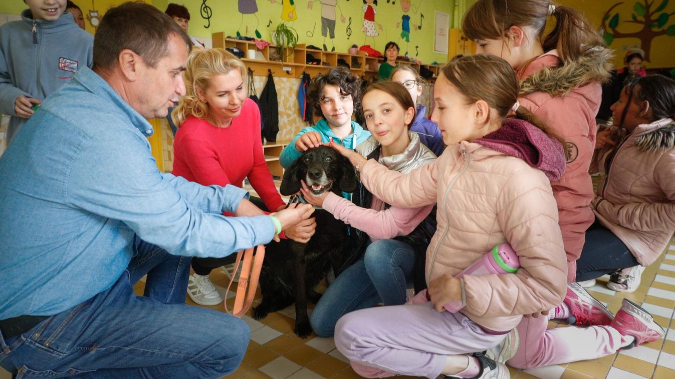 Tudtad, hogy a kutyát hátulról nem szabad simogatni?