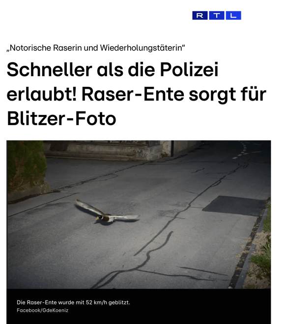 gyorshajtó vadkacsát mért be egy traffipax