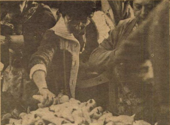Szombathelyi piac