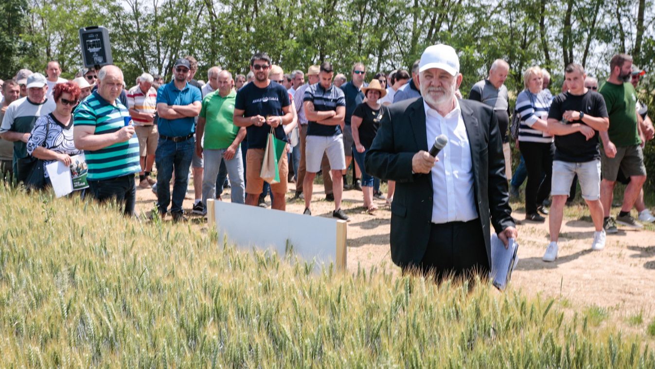 Ők a legjobb búza- és szójatermelők Vasban