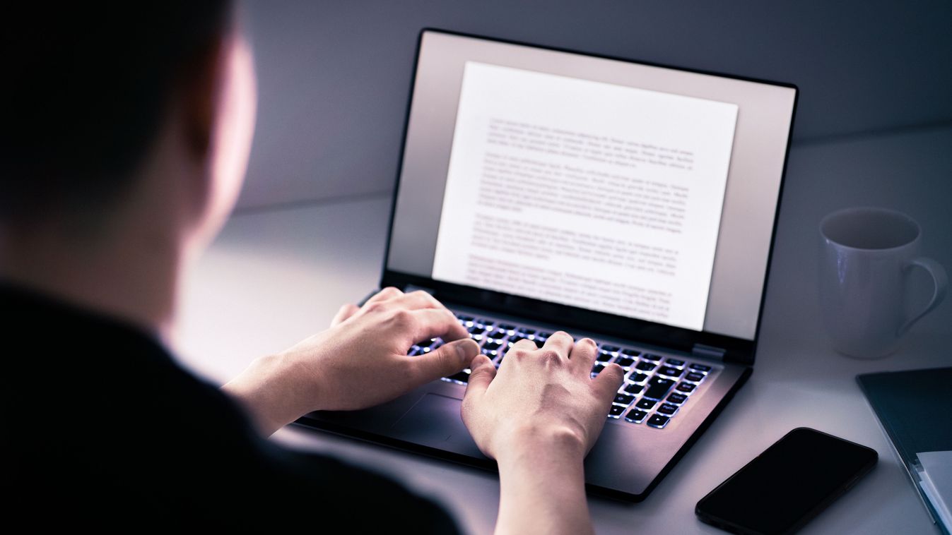 Akadálymentes a Voks 2025 online felülete