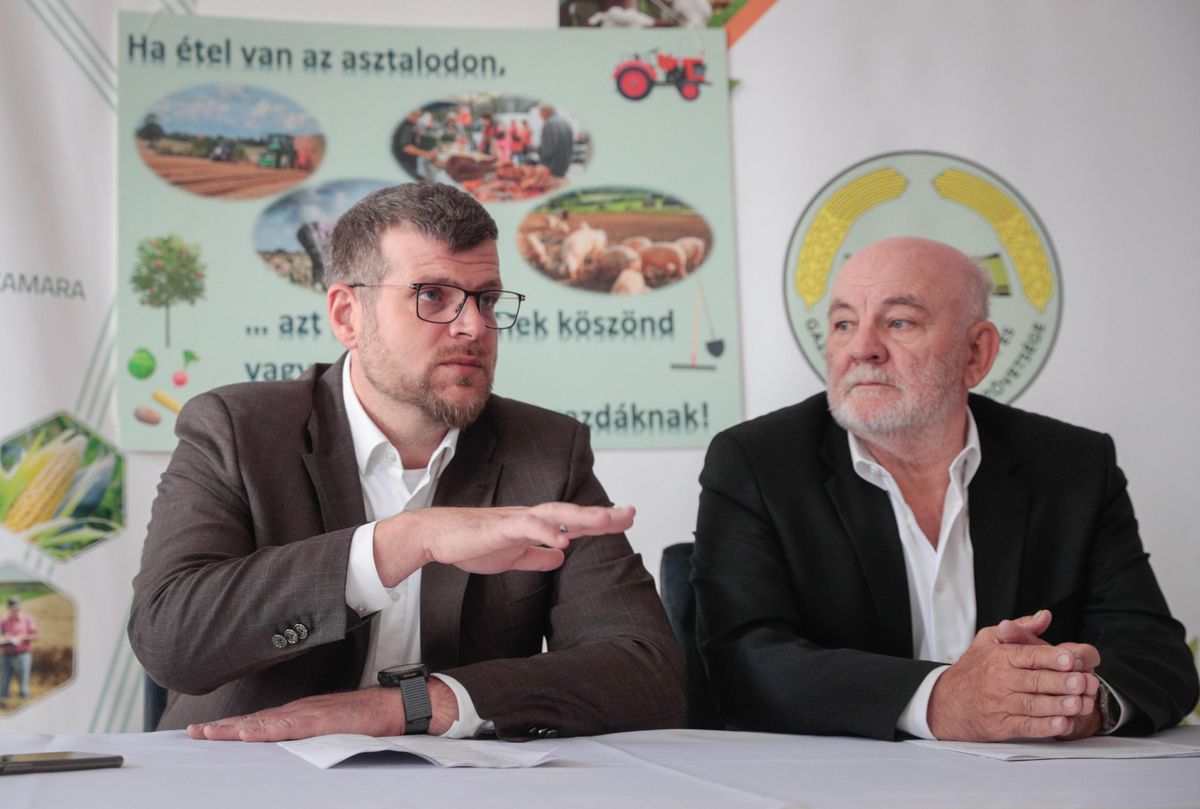 Voks 2025