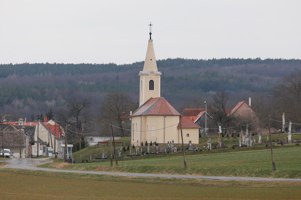 © Cseh Gábor