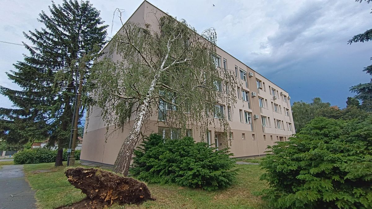 vihar körmenden