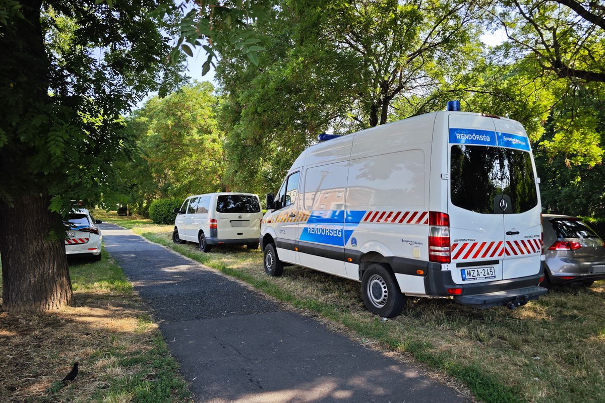 Ismét holttestet keresnek a rendőrök Szombathelyen