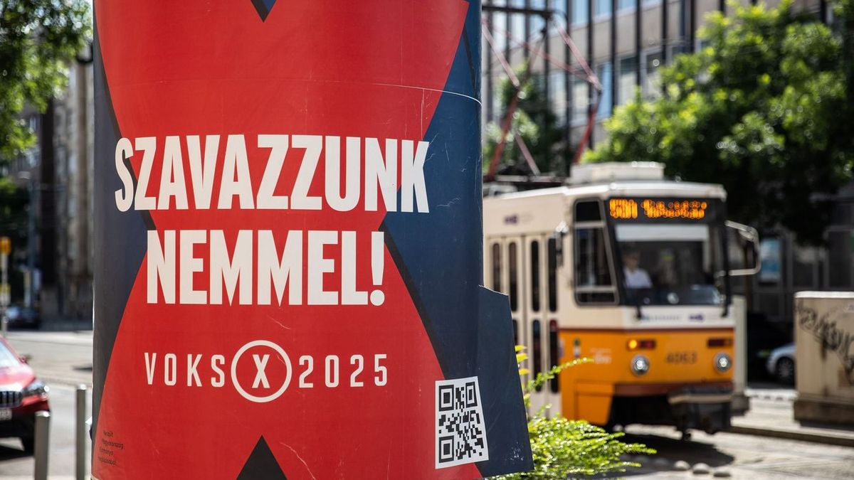 voks 2025