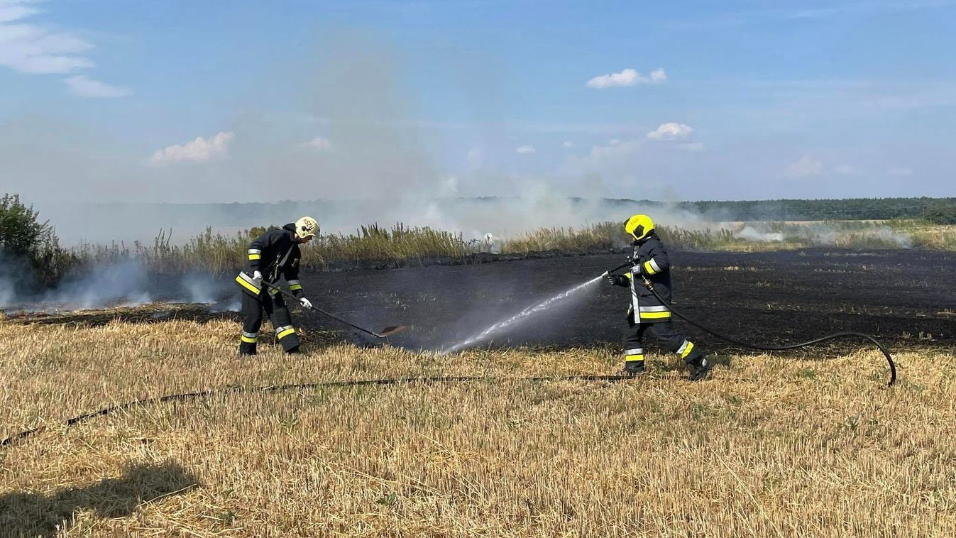 Tűz: Sokkoló adatok - 57 szabadtéri tűz volt már idén a vármegyében