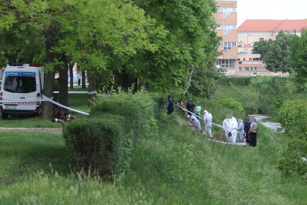 gyilkosság