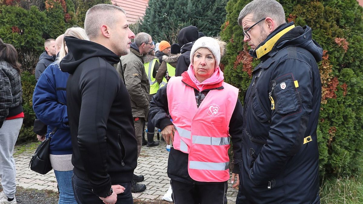 20241118_kutyaallatkinza_ut (14)