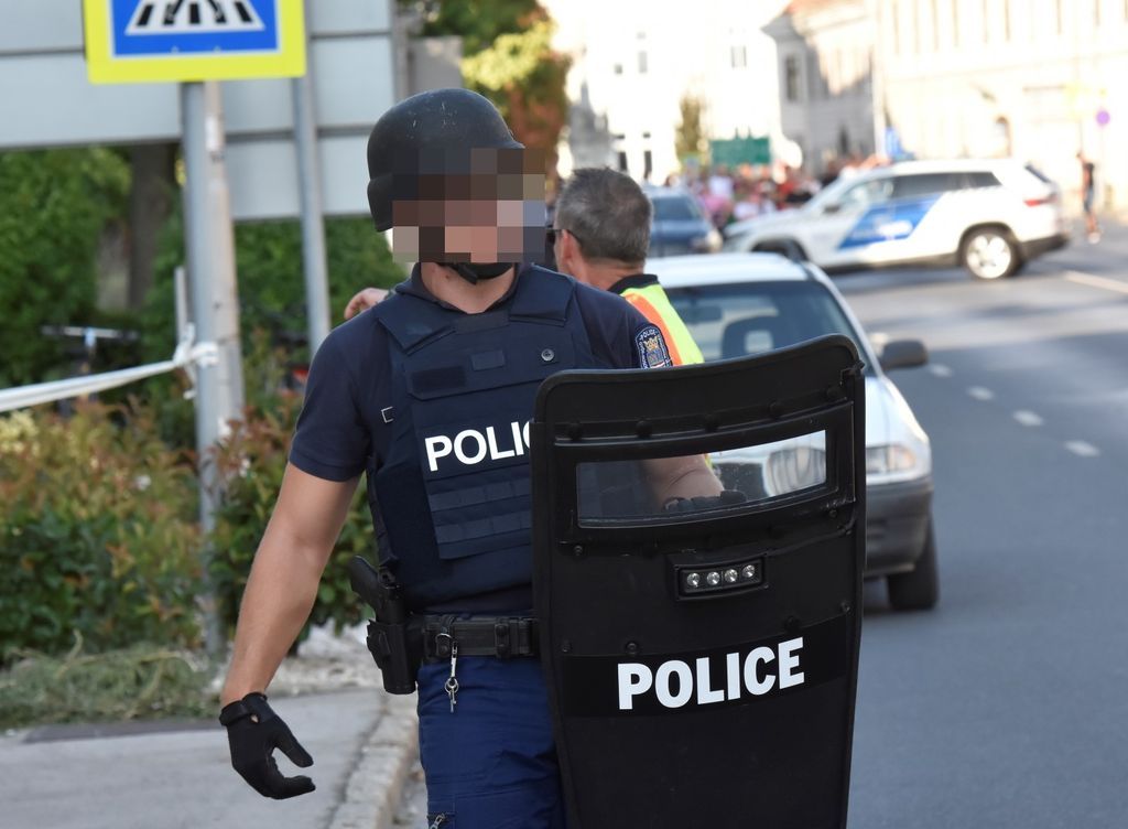 A mosonmagyaróvári késelés során egy 19 éves lány családtagjait sebesítette meg