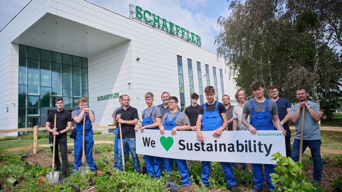 A szombathelyi Schaeffler komoly lépéseket tesz a biodiverzitás megőrzéséért