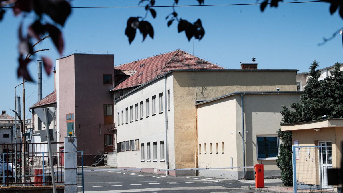 medvesajt