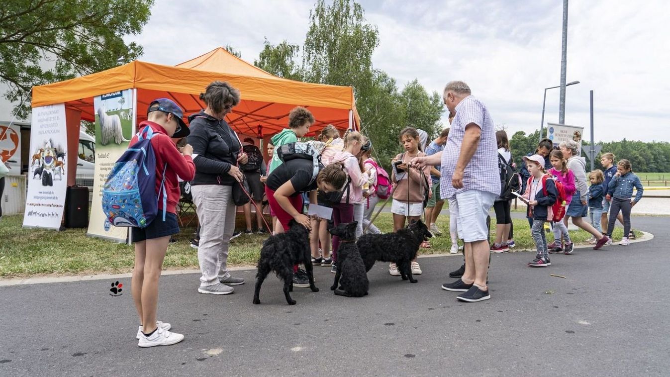 Nádasdy Fesztivál: a pumi, a komondor és társaik Sárváron