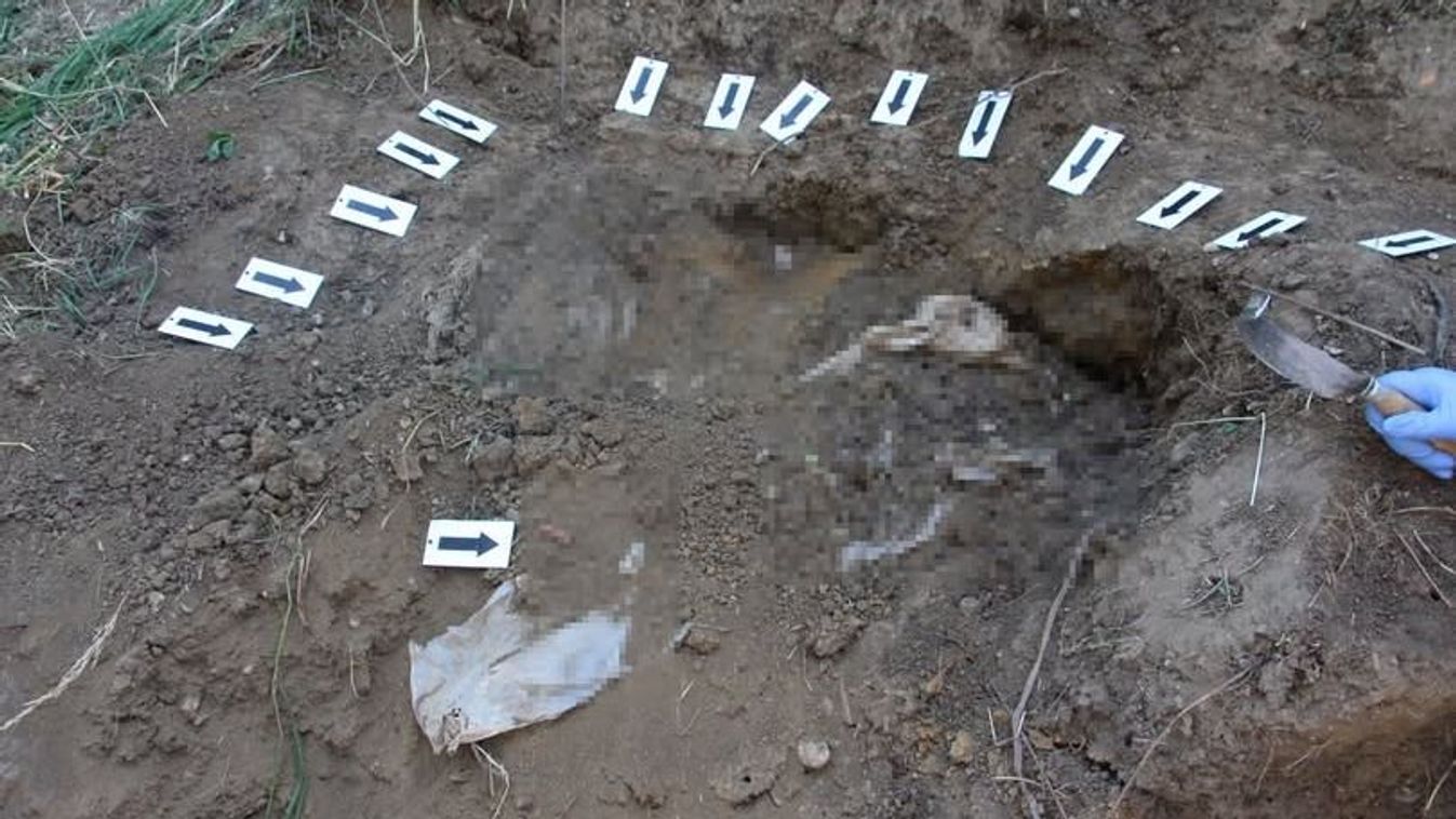 25 év elteltével találták meg egy gyilkosság áldozatát a vasi rendőrök