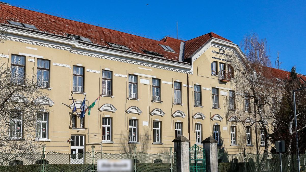 PTE ETK – Szombathelyen is dinamikus növekedés