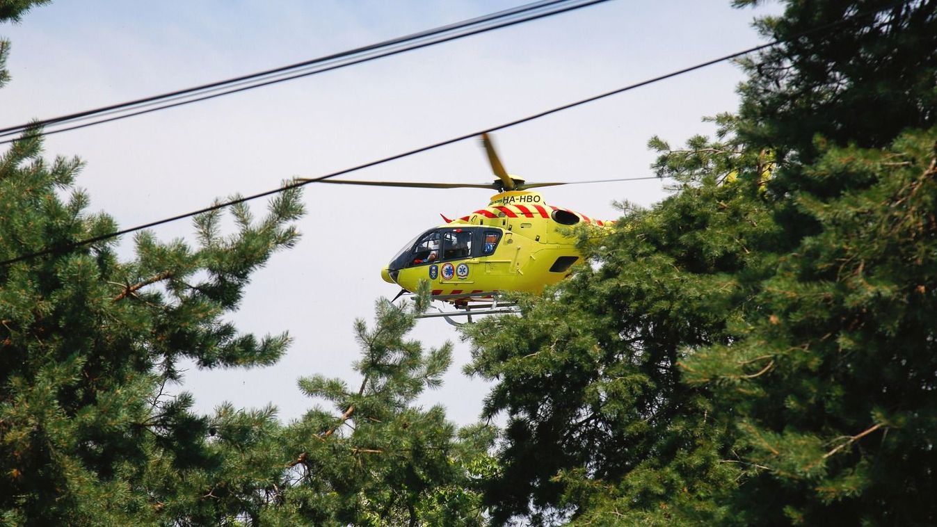 Favágóra dőlt egy fa - mentőhelikoptert is riasztottak a helyszínre