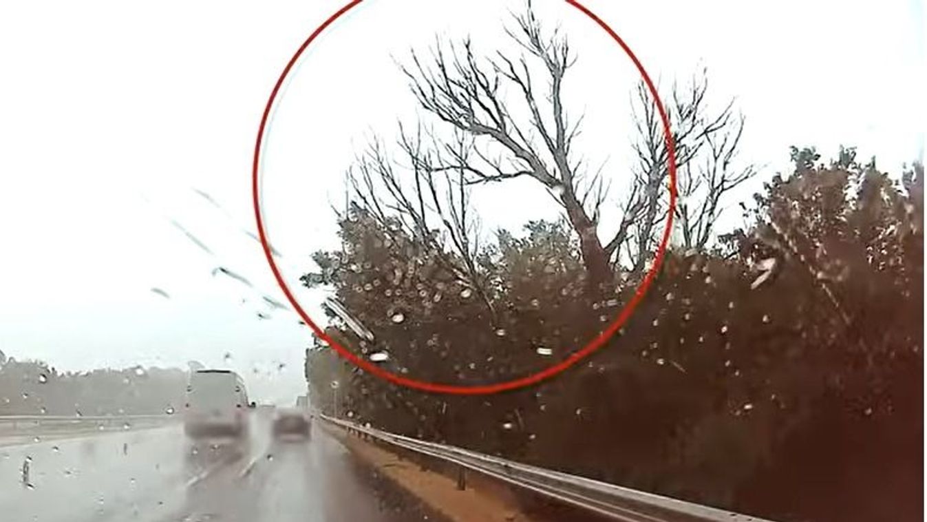 Drámai videó az M7-esről: menet közben zuhant egy fa egy család autójára a viharban