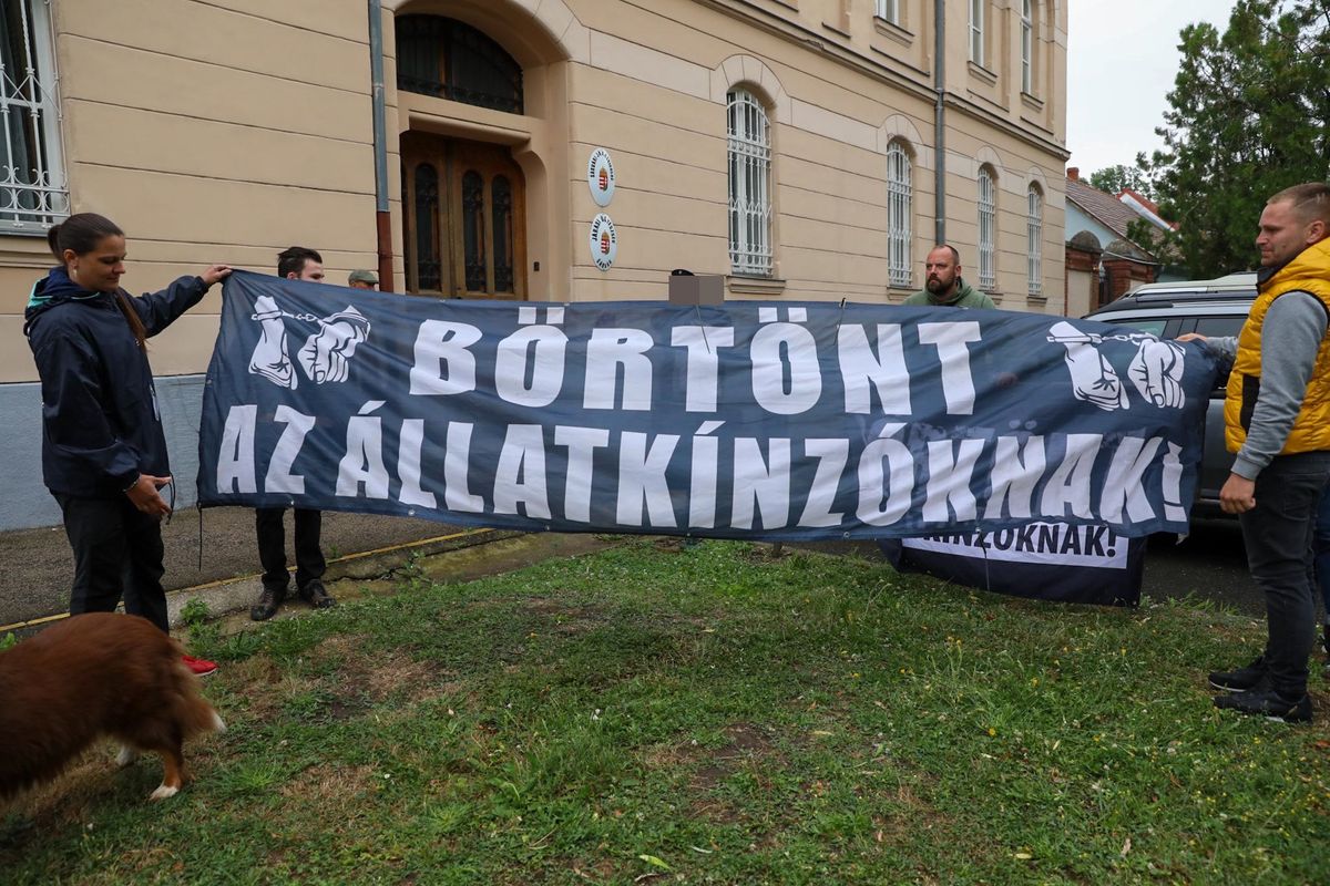 állatkínzás