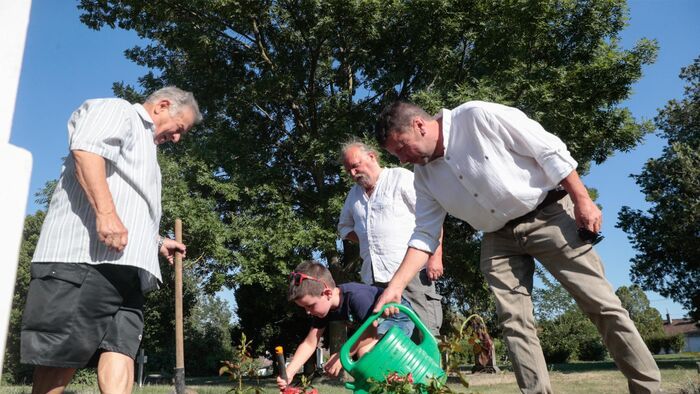 Szombaton újabb rózsabokrot ültettek Malvinának Dukán