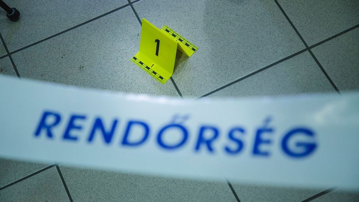 Megölhette édesanyját, majd öngyilkosságot követett el egy férfi Gárdonyban