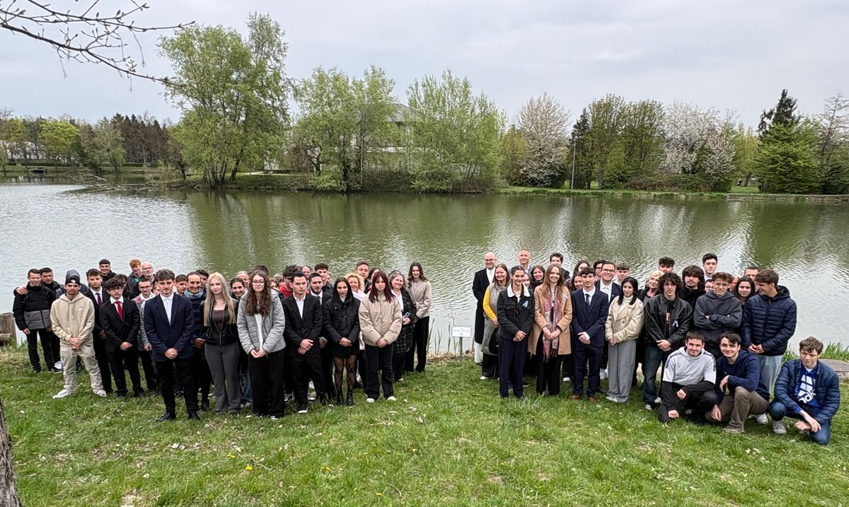 Ballagók fája Szombathelyen: először ültették el, új hagyomány született