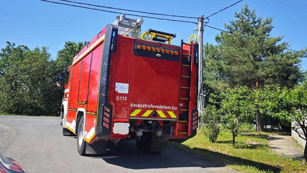 Erdő, aljnövényzet és háztartási hulladék is égett Jánosházán