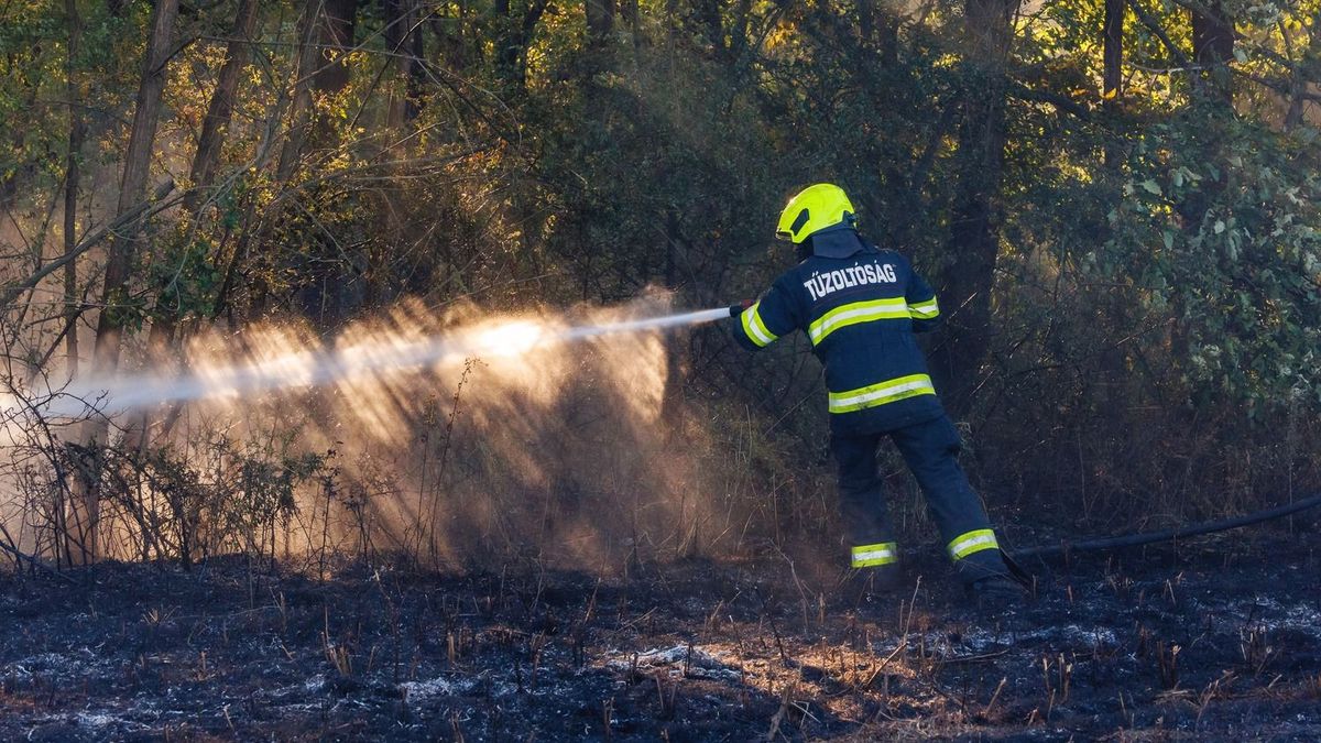 Megfékezték a lángokat a tűzoltók Vasvárnál
