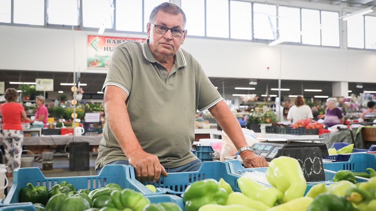 Műszaki pályát hagyott ott a piacozásért – így lett Horváth Zoltánból paprikaszakértő