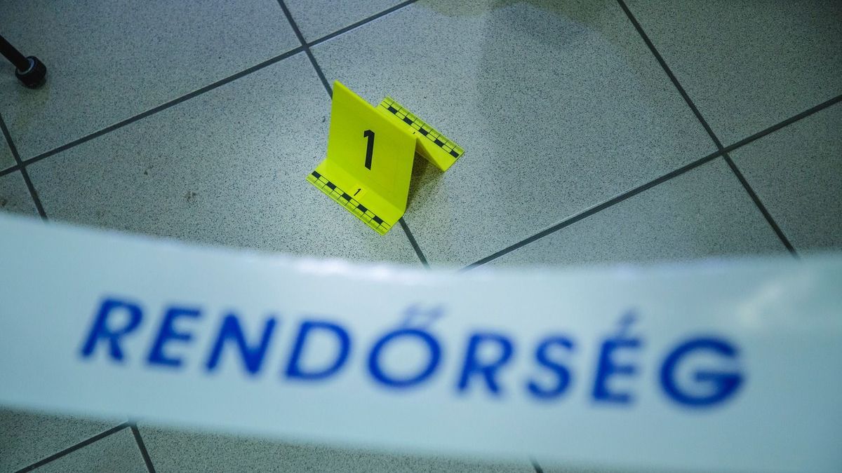 Családi tragédia történt: lányát és férjét találta holtan az asszony